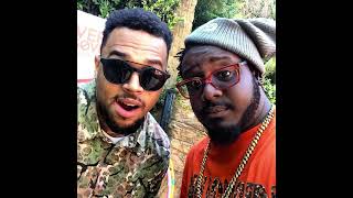 T PAIN X CHRIS BROWN quotIM SPRUNGGO CRAZYquot REVERSE MASHUP FROM TIK TOK [upl. by Adeys]