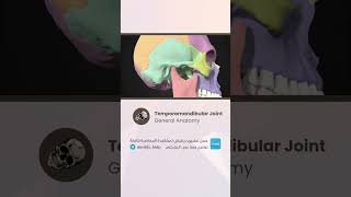 Temporomandibular Joint 0دينتيتي dentity dentityapp dentalanatomy dentalapp [upl. by Suravat]