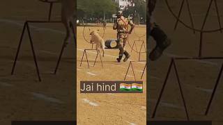 BSF dog training 🇮🇳💥 shots army dog trading shorts [upl. by Secrest]