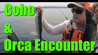 Orca Encounter Killer Whales amp Coho Fishing Whidbey Island Puget Sound Kayak Washington Seattle [upl. by Heuser]