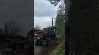 picking up massive fir log pnwlife pnw usa smalltownlife [upl. by Weldon]