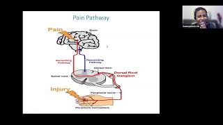 Endometriosis and Chronic Pain webinar [upl. by Adnolrehs]