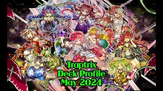 Traptrix Deck Profile May 2024 [upl. by Gnok]