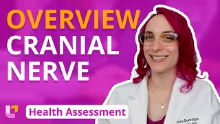 Cranial Nerve Overview  Health Assessment for Nursing Students  LevelUpRN [upl. by Arocahs174]