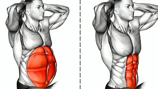 Best Exercises for Abdominal Muscles Abs Workout [upl. by Haelam]