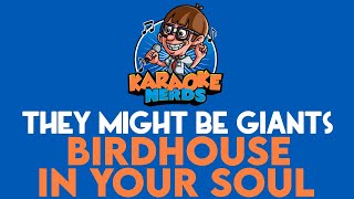 They Might Be Giants  Birdhouse In Your Soul Karaoke [upl. by Lai938]