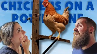 Chickens on a Powerline  Ep 13  The Poddy Mouth [upl. by Ennirak]