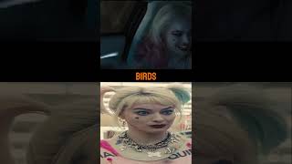 Harley Quinn’s Hidden Tattoo Evolution dc harleyquinn margotrobbie interestingfacts shorts [upl. by Akenor]