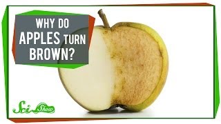 Why Do Apples Turn Brown [upl. by Lletnahs790]