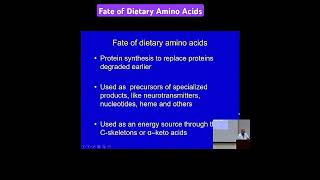 Fate of Dietary Amino Acids Metabolism Made Easy [upl. by Staley]