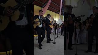 Canción quotLoco Tu forma de serquot en Rondalla [upl. by Ellirehs]