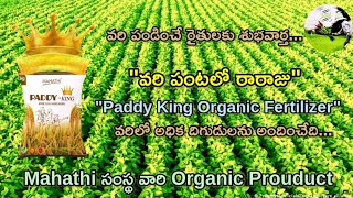 Paddy King Organic Fertilizer  వరిలో రారాజు Mahathi సంస్థ వారి Product వరి పంట ఆరోగ్యంగా రావాలంటే [upl. by Elene363]