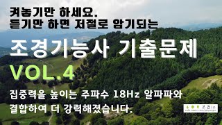 저절로 외워지는 조경기능사 기출문제 vol4 🎧  18Hz 알파파 집중력 향상 [upl. by Etnohs]