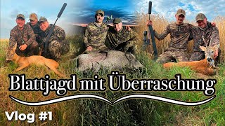 Blattjagd auf Rehbock nimmt unerwartete Wendung Video Tagebuch 1 Blattjagd Serie waldvierteljagd [upl. by Azriel]