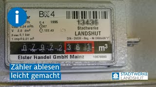 Zähler ablesen leicht gemacht [upl. by Eanwahs7]