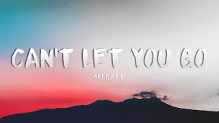 Ali Gatie  Cant Let You Go Lyrics [upl. by Tiedeman]