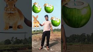 Rounding naryal Panirabbit 🐇 cat 🐈 elephant🐘 horse 🐎 animals neme VFX MAGIC videoshorts magic [upl. by Germin]