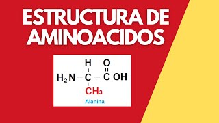 Aminoácidos Estructura [upl. by Beaufert]