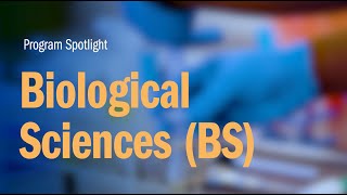 Biological Sciences BS  Webster University [upl. by Nyvrem323]