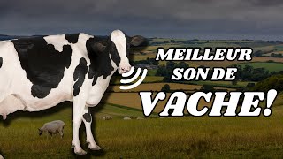 🐮 Bruit de la VACHE 🔊 [upl. by Koy111]