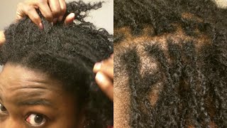 Interlocking Tutorial for Dreadlock Maintenance  Before and After [upl. by Hough45]