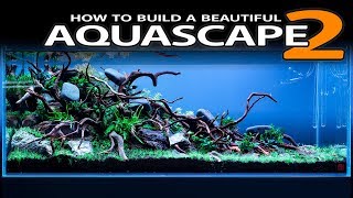 HOW TO BUILD A BEAUTIFUL AQUASCAPE EASILY  PLANTING [upl. by Audrie609]