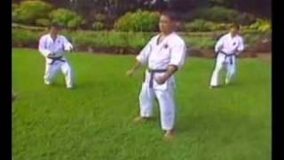 Sochin Kenneth Funakoshi Kata and Bunkai [upl. by Annwahs]