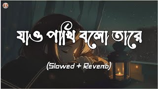 Jao Pakhi Bolo Tare SlowedReverb  Krishnokoli  Monpura  যাও পাখি বলো তারে [upl. by Sillaw]