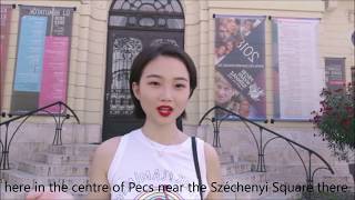 Tour in Pecs with Zhou Yimeng [upl. by Ojillek444]