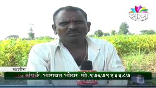 Bhagwat Bhoyars soyabeans success story [upl. by Hyacinth191]