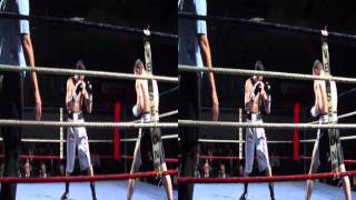 3D Live Boxe  Farid Hamache Fr VS Yvan Grynyuk Esp  Villenave Dornon 02122011 [upl. by Nylaroc]