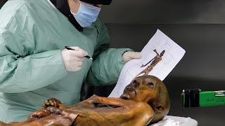 Mystery Of Ötzi the Icemans Tattoos Finally Solved By Scientists [upl. by Holihs]