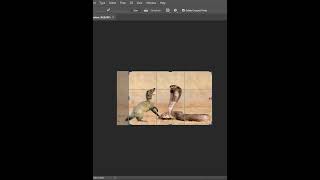 How to Crop an Image in Photoshop [upl. by Swerdna532]