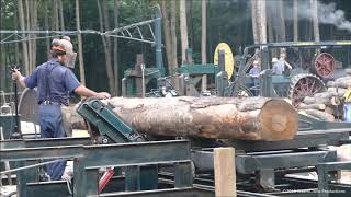 Fast Steam Powered Air Set Hardwood Sawmill  Buckeye Steam  Gas Reunion  August 2018 [upl. by Emyaj248]