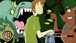 Whats New ScoobyDoo  Dino Chase 🦖  wbkids​ [upl. by Dunseath]