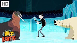 Winter Adventures Part 6  Happy Holidays  Wild Kratts [upl. by Runck]