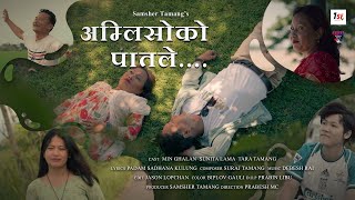 Amliso Ko Paat Le New Nepali Song Samsher Tamang  1SF [upl. by Budwig777]