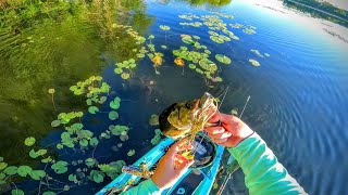 Frog Fishing in HEAVY Cover Michigan Summer Bass Fishing [upl. by Utley]