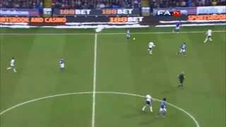 Bolton Wanderers 12 Everton  The FA Cup 4th Round 2013 [upl. by Ayotnahs]