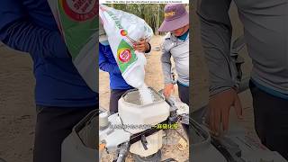 Fertilizer drones and tree climbing machines।😱shortvideo amazingsfacts [upl. by Eelek]