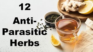 12 Powerful AntiParasitic Herbs for Gut Health [upl. by Lakim]