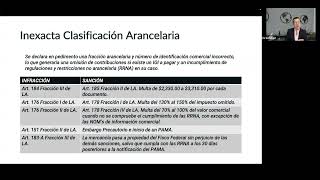 Infracciones y Sanciones de la Ley Aduanera en Mexico [upl. by Liban]