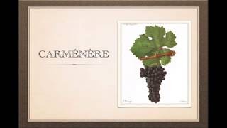 Winecast Carménère [upl. by Attenborough]