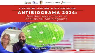 CURSO ANTIBIOGRAMA 2024  ¡Inscripciones abiertas [upl. by Elletsirhc]