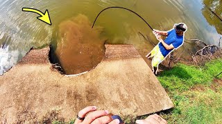 300 LB MONSTER in a STORM DRAIN [upl. by Haeluj]