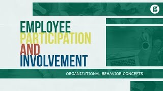 Employee Participation and Involvement [upl. by Mae]