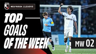 Stunning goals continue the JLeague thrills  2024 JLEAGUE TOP GOALS  MW 2 [upl. by Alessandro803]