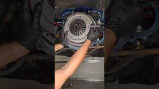 How to install a Clutch on 66 Mustang automobile car ford classiccars mustanggt clutch tremec [upl. by Kerrin]