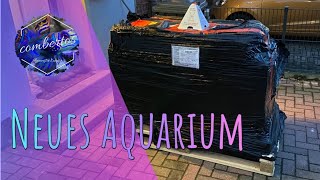 Armatus 500xd MWA 1  Neues Aquarium [upl. by Inod]