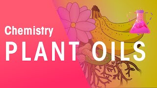 The Extraction Of Plant Oils  Organic Chemistry  Chemistry  FuseSchool [upl. by Seessel]